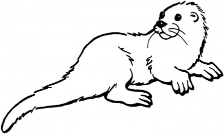 nutria para colorear nutria para colorear